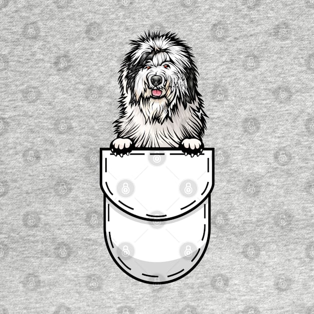 Old English Sheepdog Pocket Dog by Pet My Dog